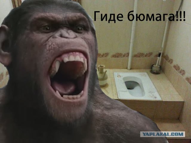 Кафе в Махачкале.