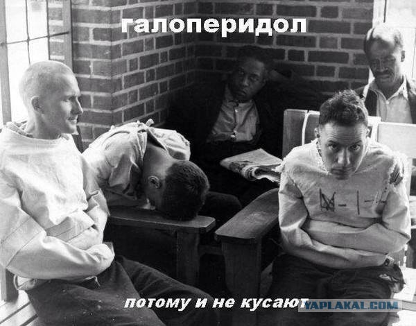 Подборка баянов.