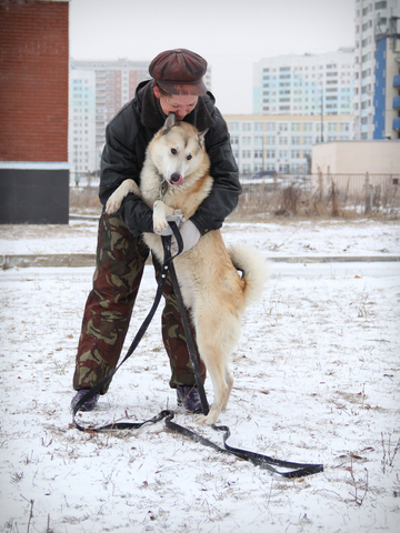 Приют для бездомных собак в г.Москве (ЮЗАО)