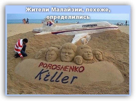 Нидерланды знают, что Боинг сбила Украина