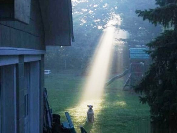 Подборка картинок из сети