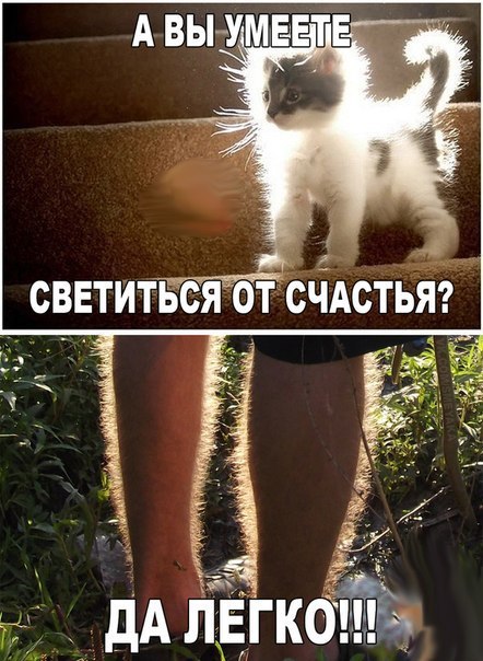 Подборка смешных, не очень и просто красивых фотографий. Часть 2