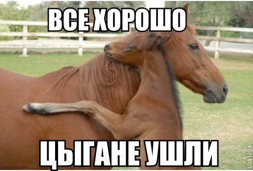 Развод на дороге