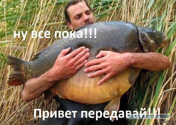 Рыбалка с президентом на озере Ильмень.