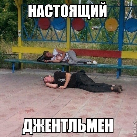 Прикольные картинки из соцсетей