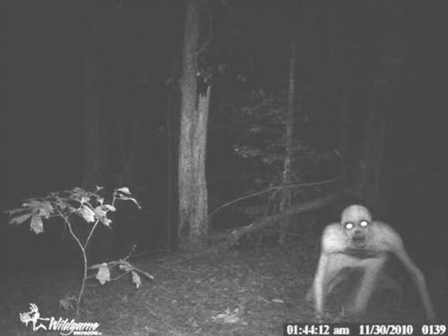 Забавные и страшные фотографии фотоловушек!