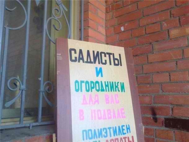 Картинки для настроения в пятницу.