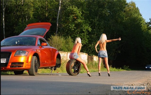 Избаловались