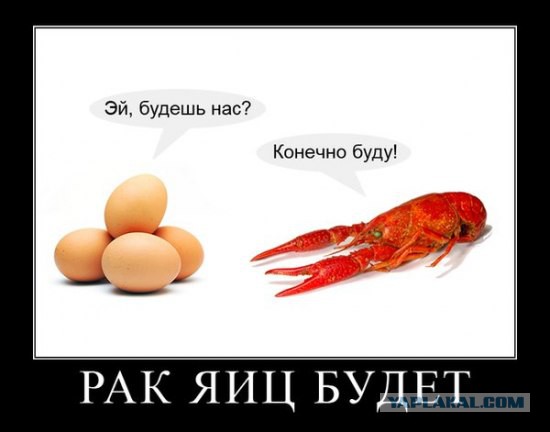 Смешные объявления, надписи и вывески