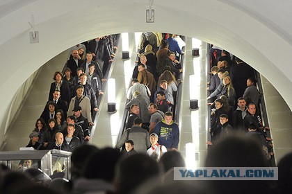 13 фактов, которые звучат настолько невероятно, что кажутся форменным надувательством