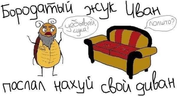 Картинки не для всех на сон грядущий.