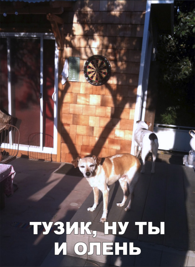 Нестандартный юмор