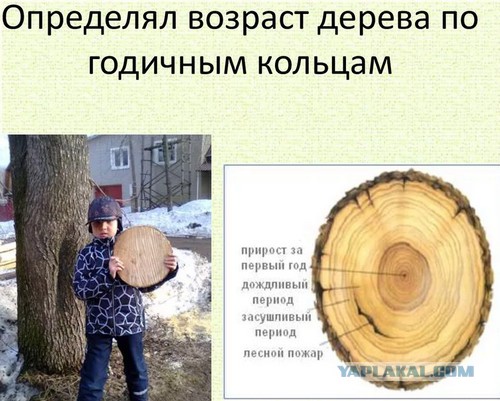 Осторожно, колбаса по ГОСТу