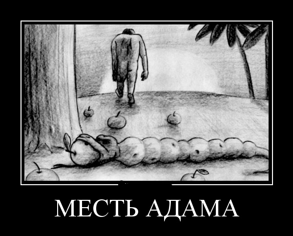 Восьмой день
