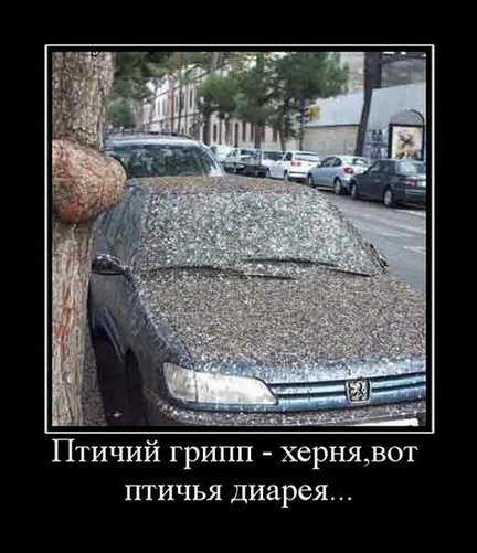 Чуток картинок  22.04.20