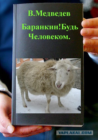 Фотожаба: Книги!