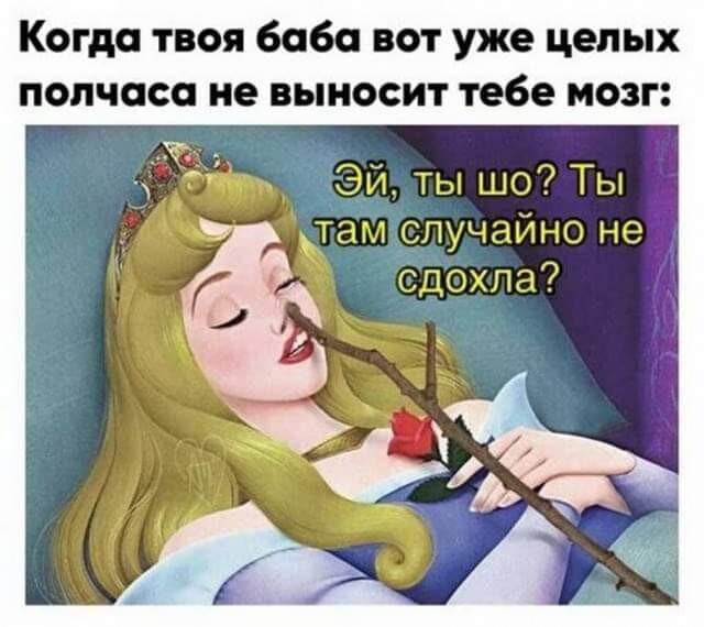 Федя, дичь!