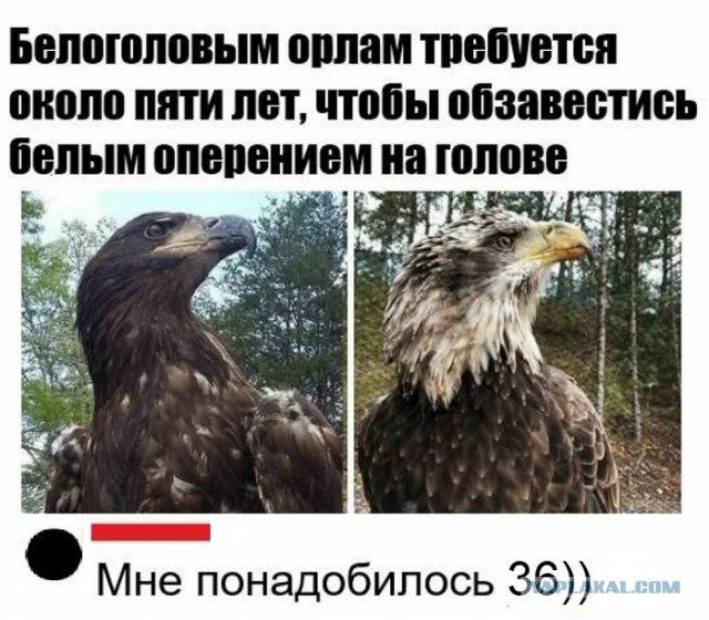 Картинки с надписями и всякие жизненные фразы