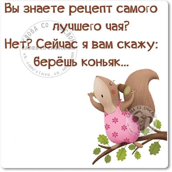 Алкопост 28.08.21