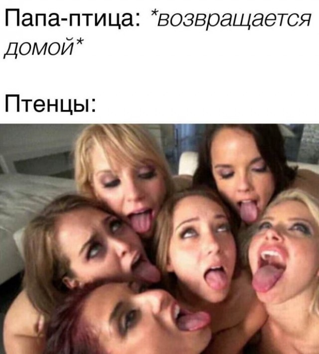Всякие разные картинки 19.11.2021