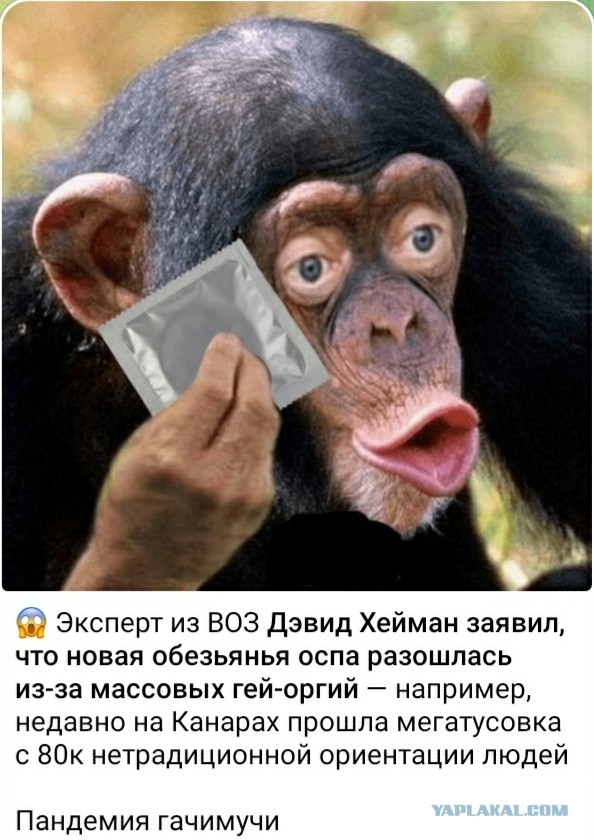 Про оспу обезьян