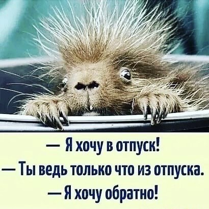 Так себе картинки 15.07.22