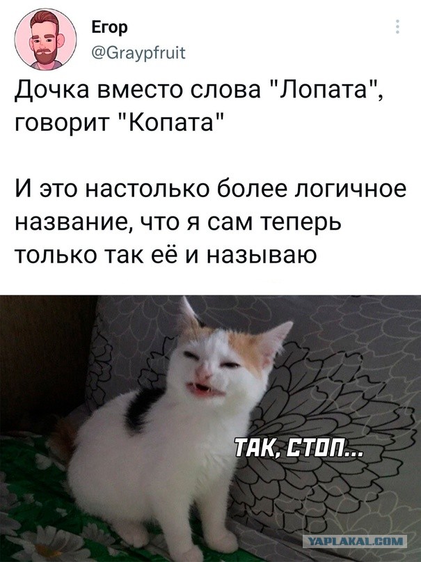 Весёлый полтишок 28.02.23