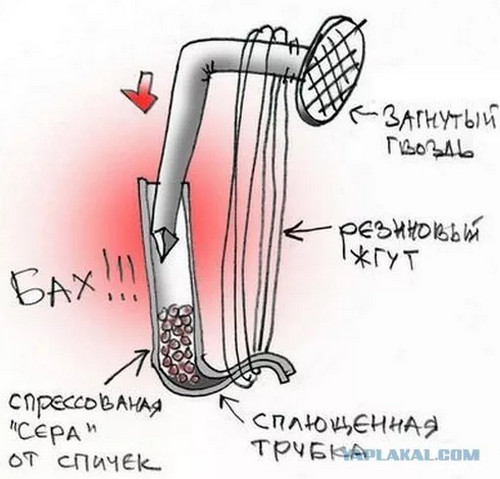 Хрен знает, но зачем жена селитру купила на дачу...