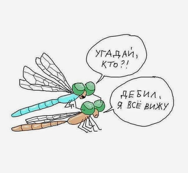 Так себе картинки 08.08.23