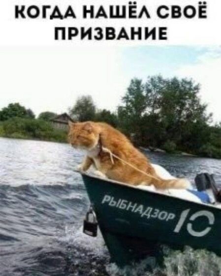 Отряд быстрой деградации
