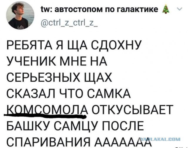 Картинок ублюдских несколько