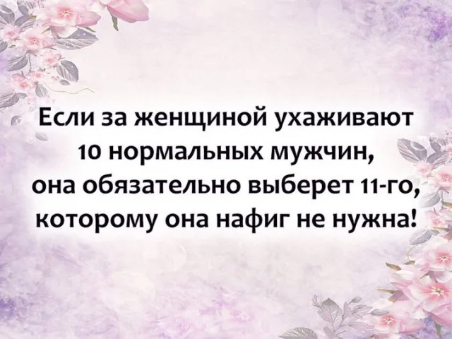 Смешные картинки с надписями и чужой кот
