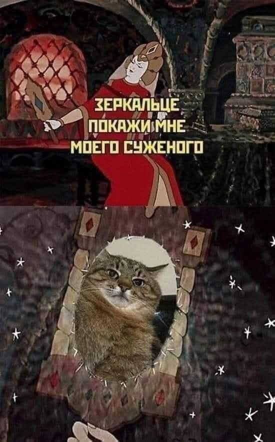 К котовторнику.