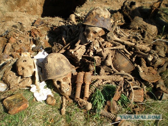 Они пропали за Родину.