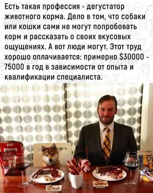 Веселые картинки в понедельник (27.10)