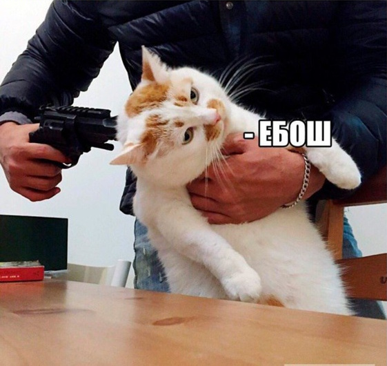 Ну всё, психику этих детей уже не отремонтировать. Несите новых!