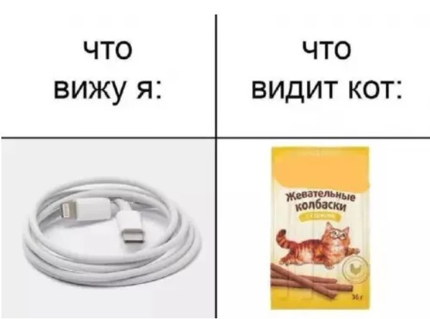 К котовторнику: подборка картинок-баянов с котиками и про котиков. Выпуск 40.