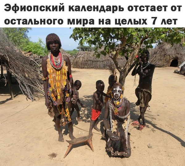 Познавательные картинки 4