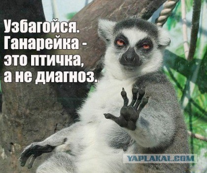 Узбагоидельное