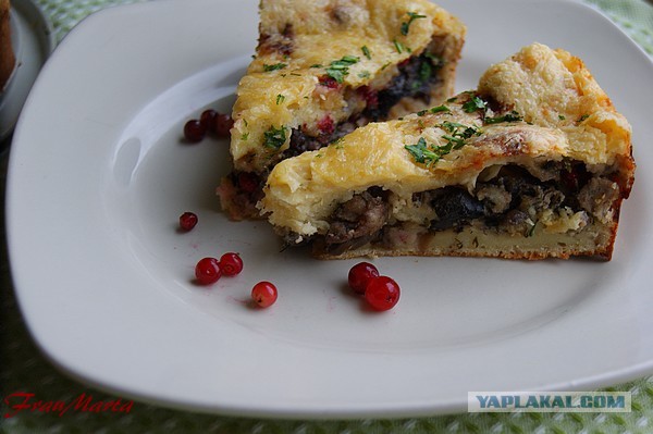 Пирог.. С мясом, брусникой и грибами, Тесто без заморочек