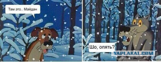 Законы эволюции на майдане.