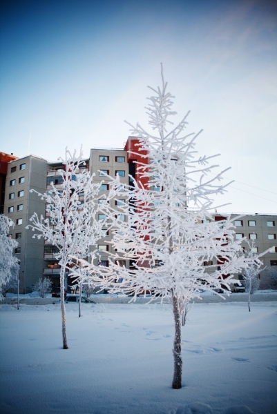 Скоро зима, товарищи !