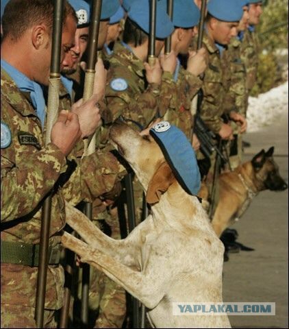 Подборка забавных и курьезных фотографий