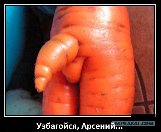 Сага о суровом кролике