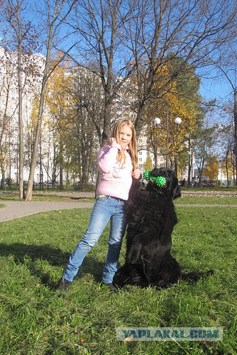 Собакочетверг