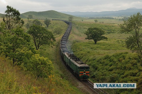 Победители фотоконкурса клуба железнодорожников