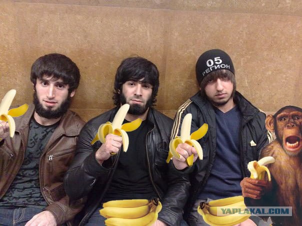 Избитый в больнице Минеральных Вод скончался