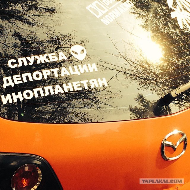 Надписи на авто.