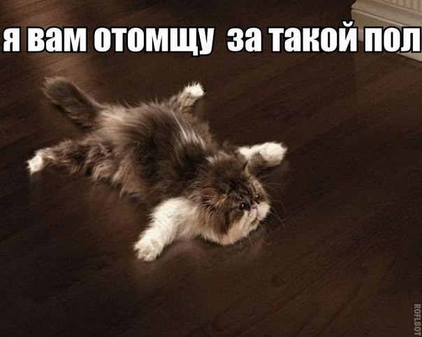Картинки разные