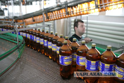Страны ЕС просили ГД не ограничивать продажу пива